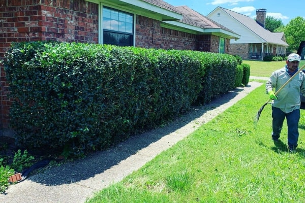 Residential Asphalt Shingle Roofing